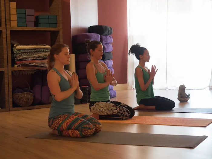 Laughing Frog Yoga Picture 2