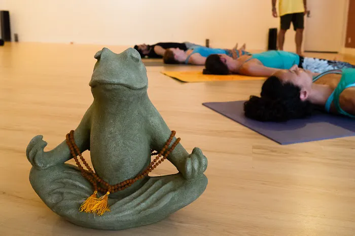 Laughing Frog Yoga Picture 5
