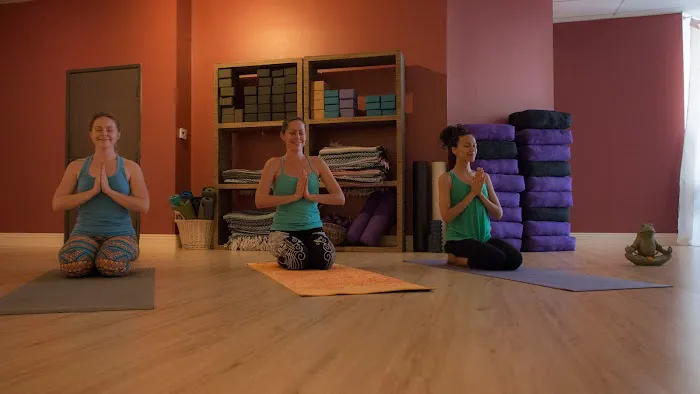 Laughing Frog Yoga Picture 4