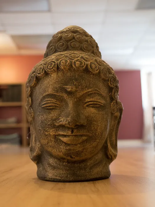 Laughing Frog Yoga Picture 7