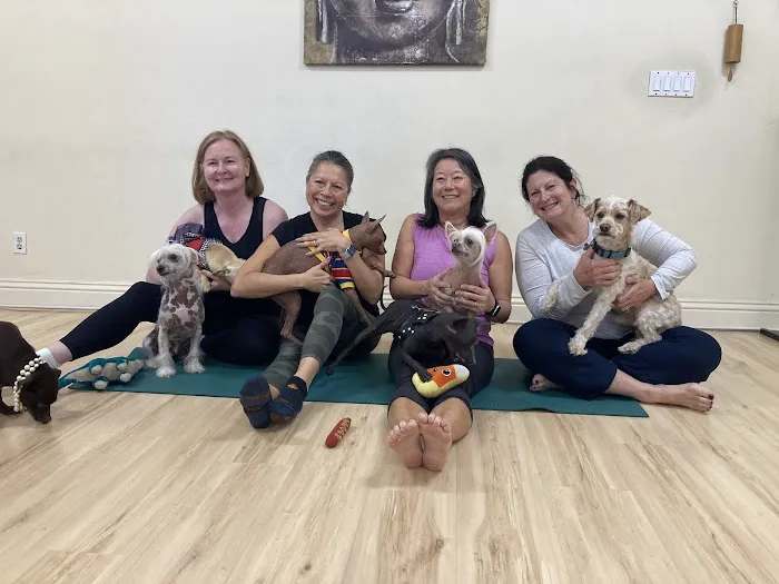 Laughing Frog Yoga Picture 6