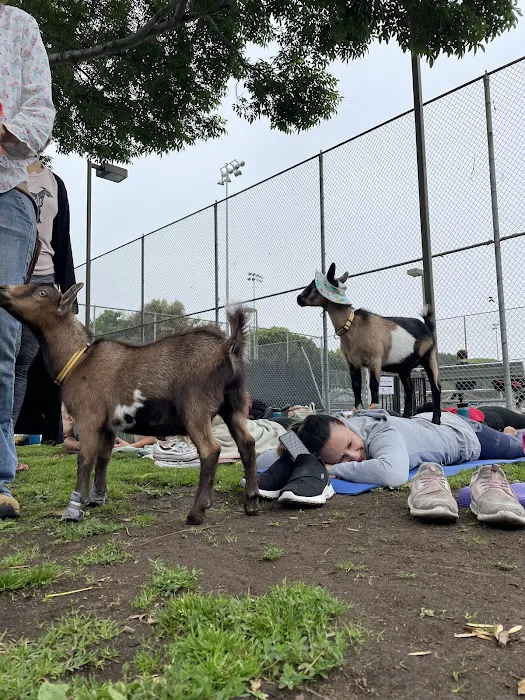 Laughing Frog Yoga Picture 1