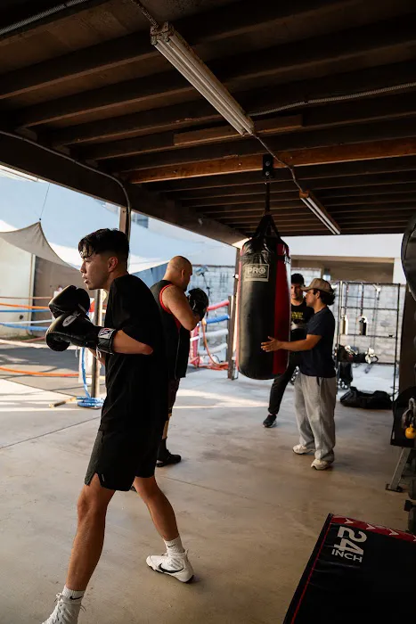 The Yard Boxing Club Picture 7