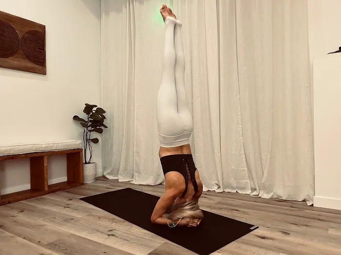 The Wellness Room Picture 6