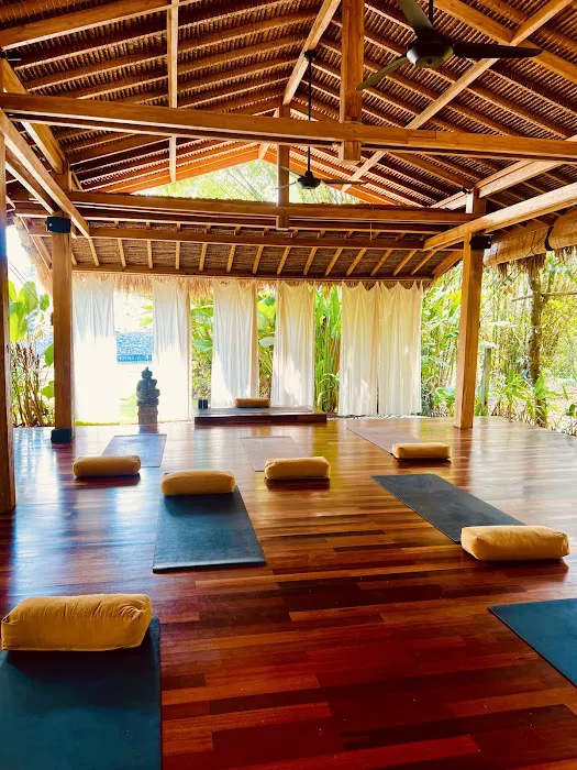 The Wellness Room Picture 3