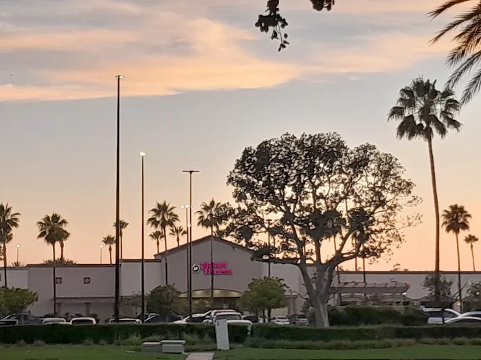 Planet Fitness Picture 6