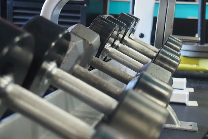 Rose Gold Fitness Picture 5