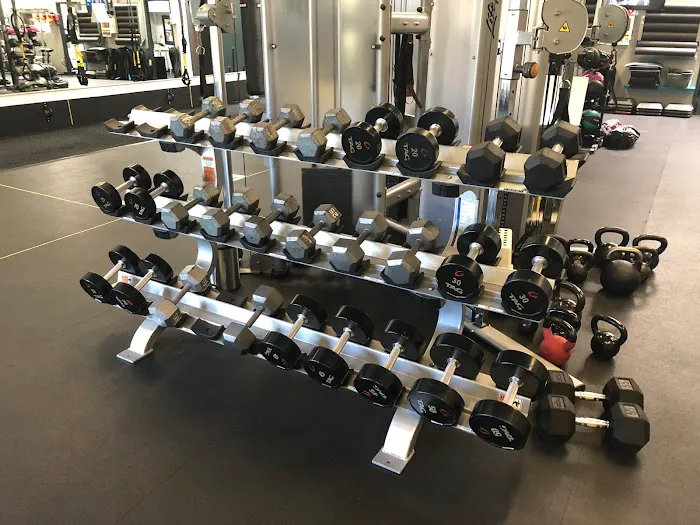 Rose Gold Fitness Picture 7