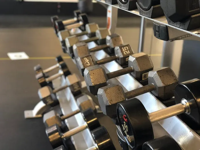 Rose Gold Fitness Picture 9