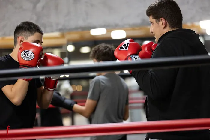 KD MMA Montrose Picture 1