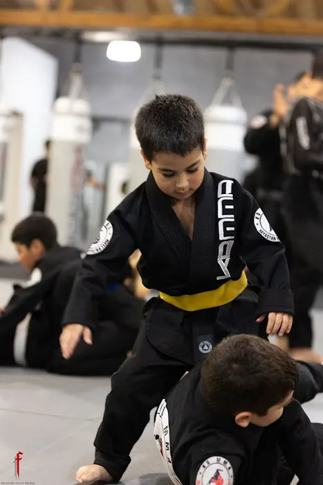 KD MMA Montrose Picture 9