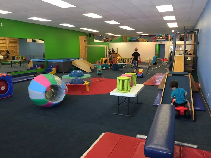 My Gym Children's Fitness Center Picture 1