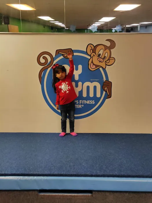 My Gym Children's Fitness Center Picture 3