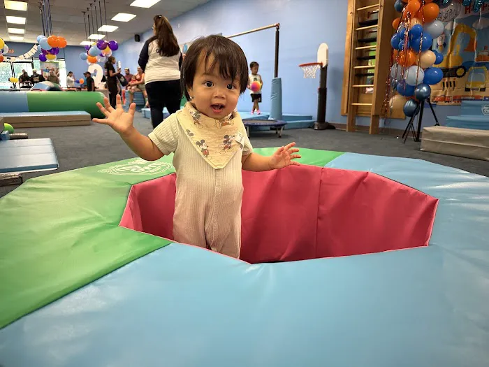 My Gym Children's Fitness Center Picture 7