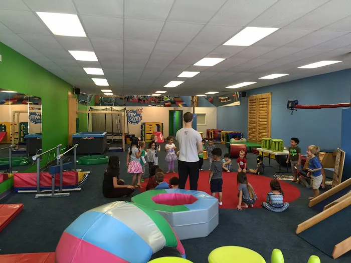 My Gym Children's Fitness Center Picture 4