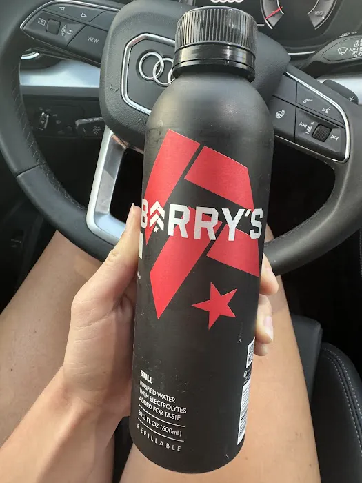 Barry's Venice Picture 4