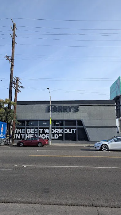 Barry's Venice Picture 6