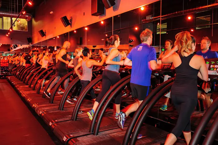 Barry's Venice Picture 7