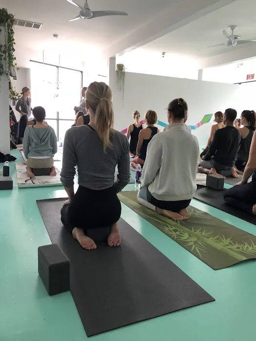 Love Yoga Venice Picture 5