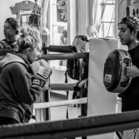 CMC Pro Boxing - Since 2003 ico