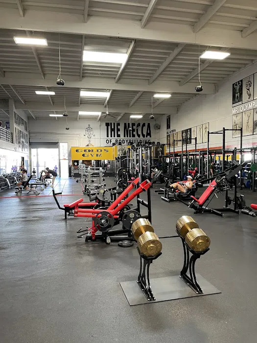Gold's Gym Venice Picture 2