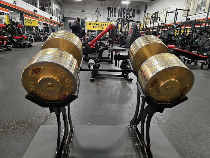 Gold's Gym Venice Picture 6