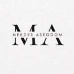 Mekdes Wellness LLC