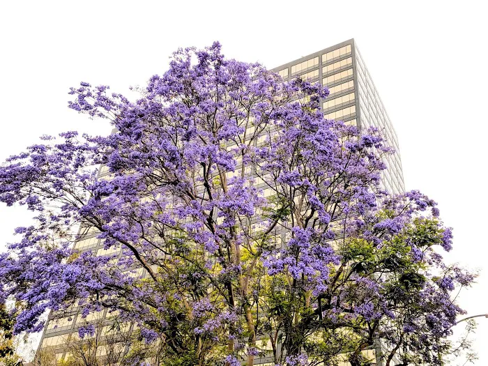 Equinox Westwood Picture 7