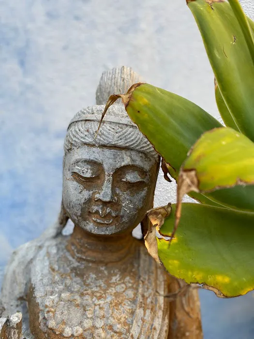 Santa Monica Yoga Picture 6