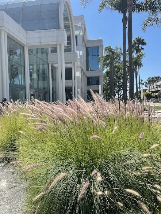 Bay Club Santa Monica Picture 4