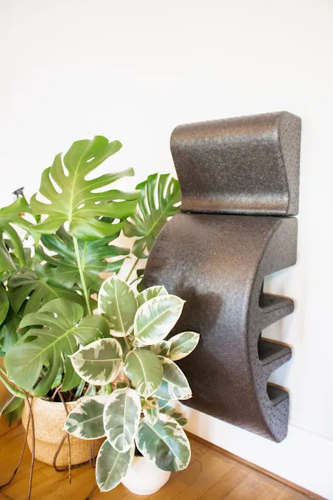 Blue Moon Pilates Picture 9