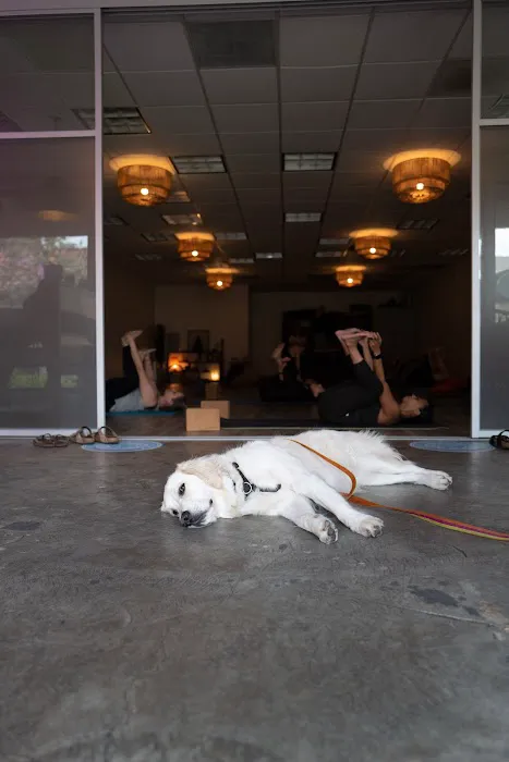 Soul Movement Yoga Picture 10