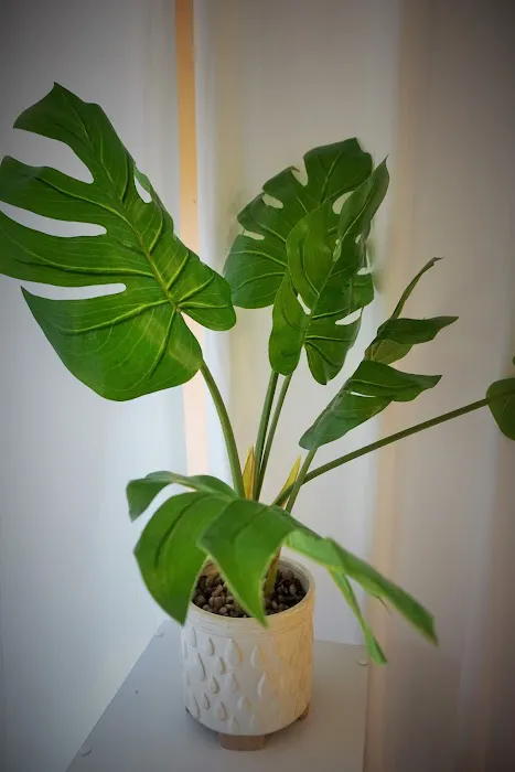 Ora Pilates Picture 7