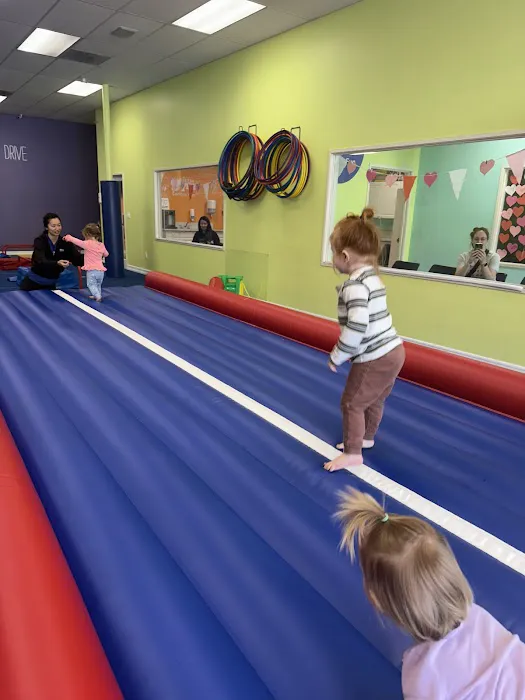 The Little Gym of La Canada Picture 3