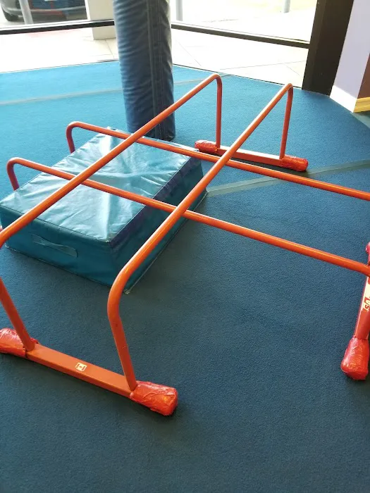 The Little Gym of La Canada Picture 5