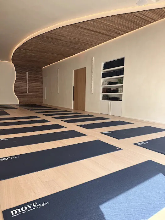 Move Studios - Pilates Yoga Rebounder (Santa Monica/Venice) Picture 2