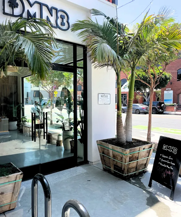 DMN8 - Main St. Picture 8