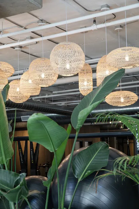 DMN8 - Main St. Picture 9