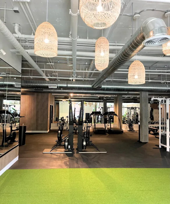 DMN8 - Main St. Picture 10