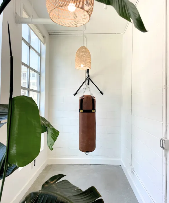 DMN8 - Main St. Picture 4