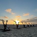 The Sun Cycle