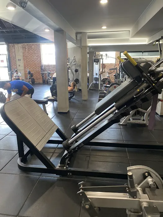 IRON Santa Monica Picture 4