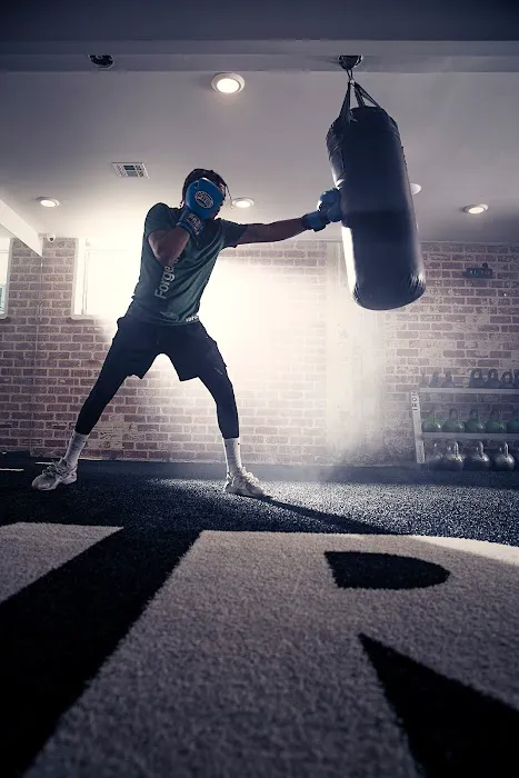 IRON Santa Monica Picture 8