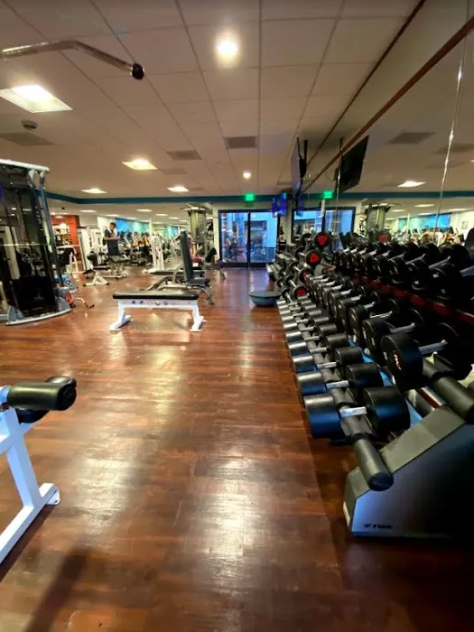 Shape-Up Health Club Picture 10