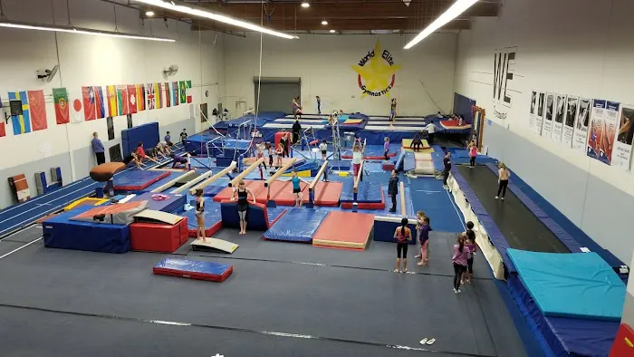World Elite Gymnastics Picture 8