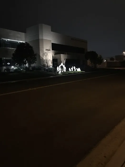 World Elite Gymnastics Picture 4