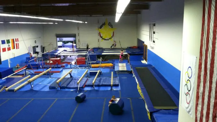 World Elite Gymnastics Picture 2