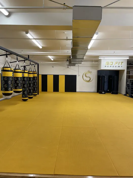 So Fit Academy Picture 8