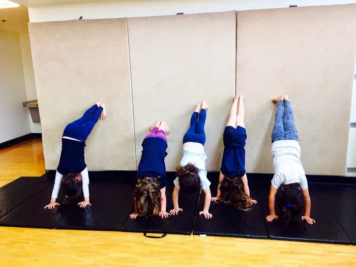 Jumping Gym Picture 1