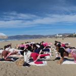 Flow Pilates Club